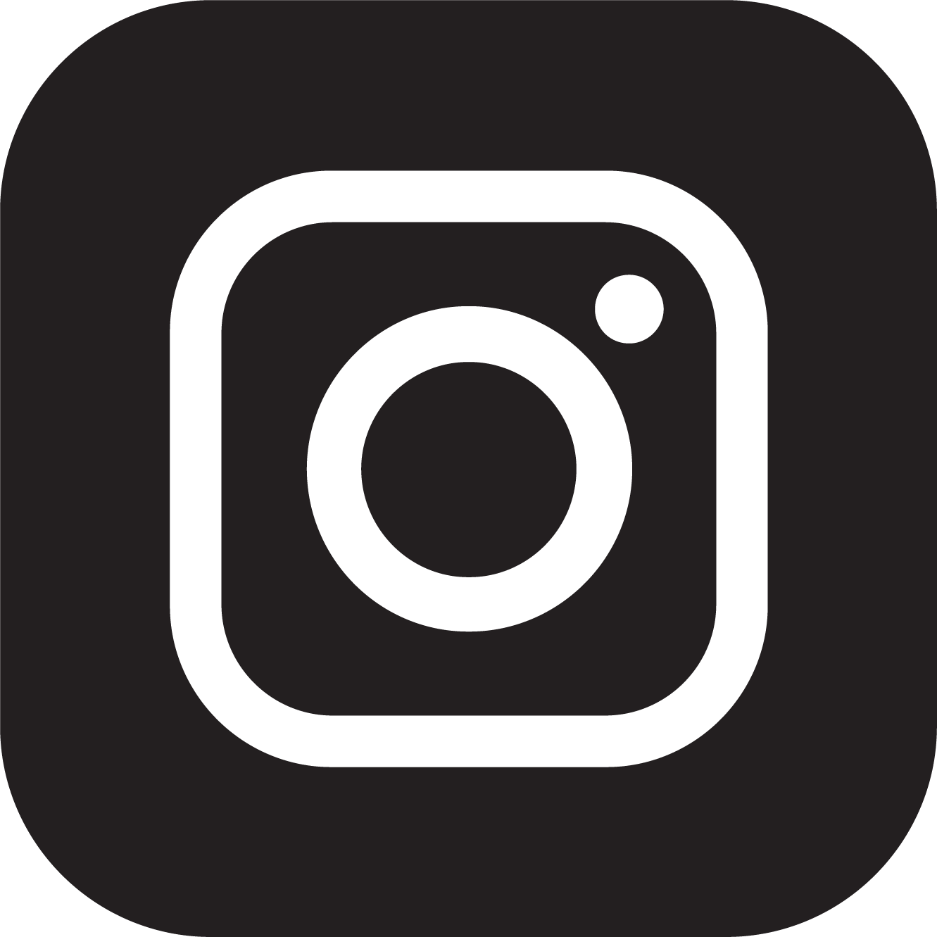Instagram Icon Icon