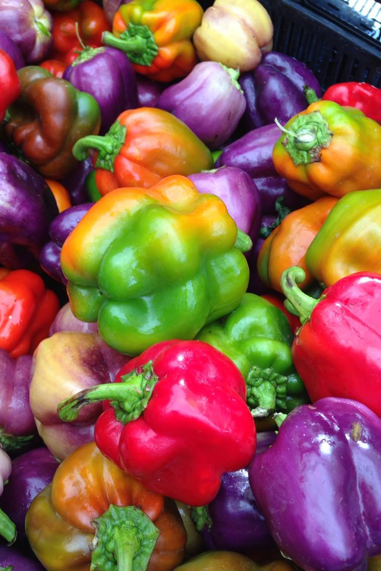 an array of colored bell peppers