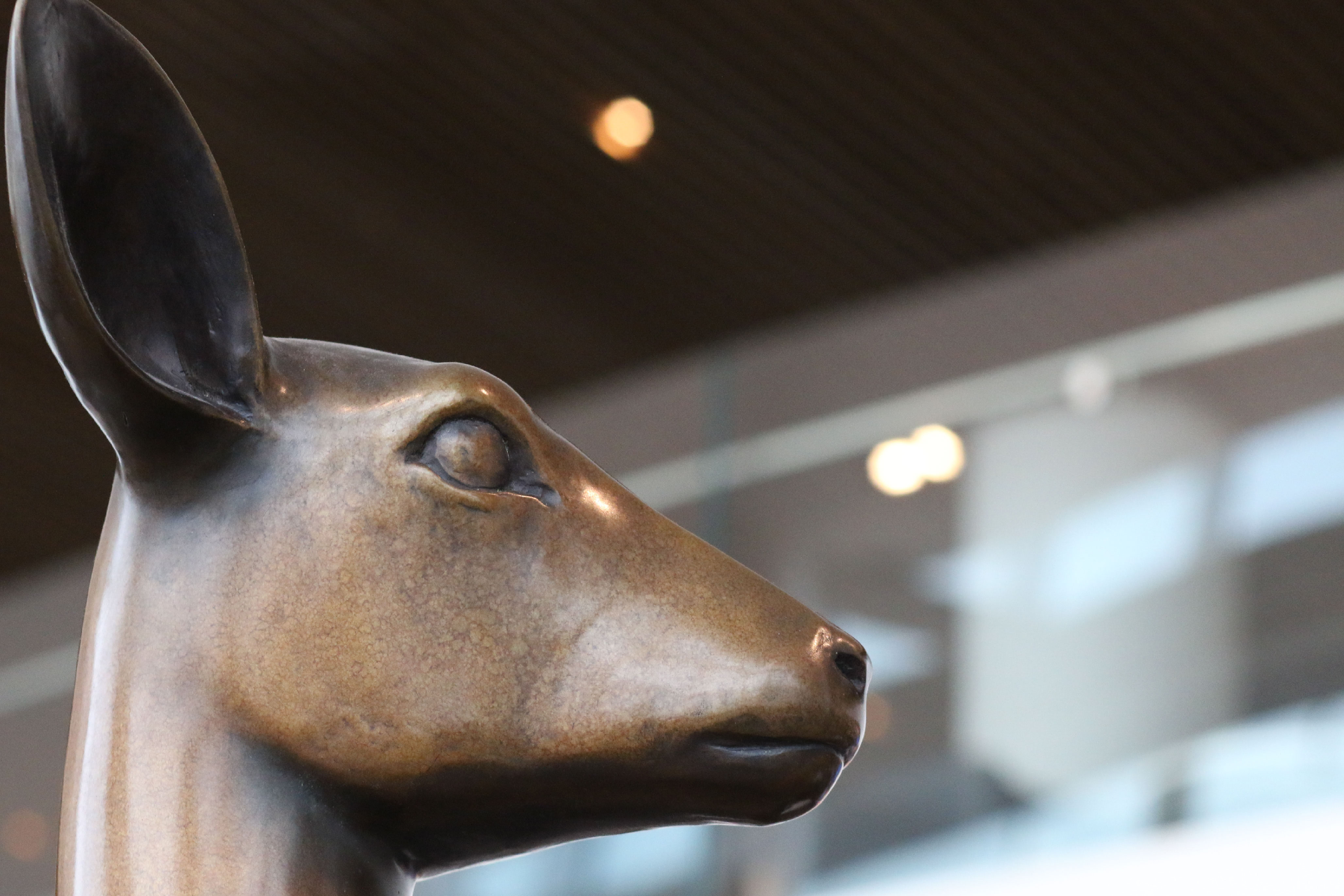 copper sculpture of a deer